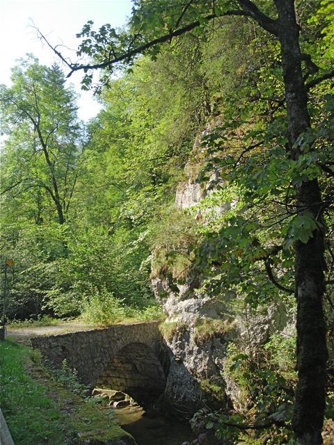 Tiergart, vieux chemin de Vermes