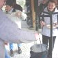 VTrando 25_11_07 
