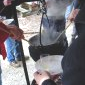 VTrando 25_11_07 